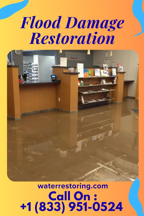 Flood Damage Restoration in Kings Grant, NC