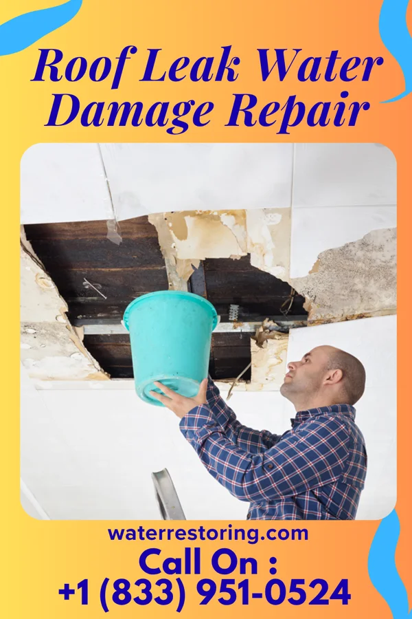 Roof Leak Water Damage Repair in Kings Grant, NC