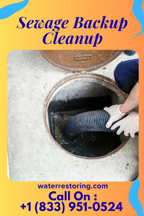 Sewage Backup Cleanup in Kings Grant, NC